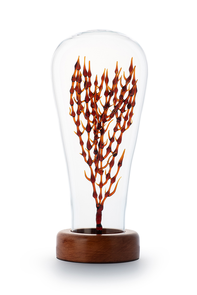 The Living Filament